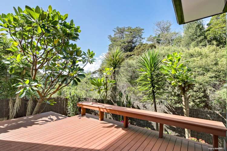 25a Bush View Lane Northcote Point_27