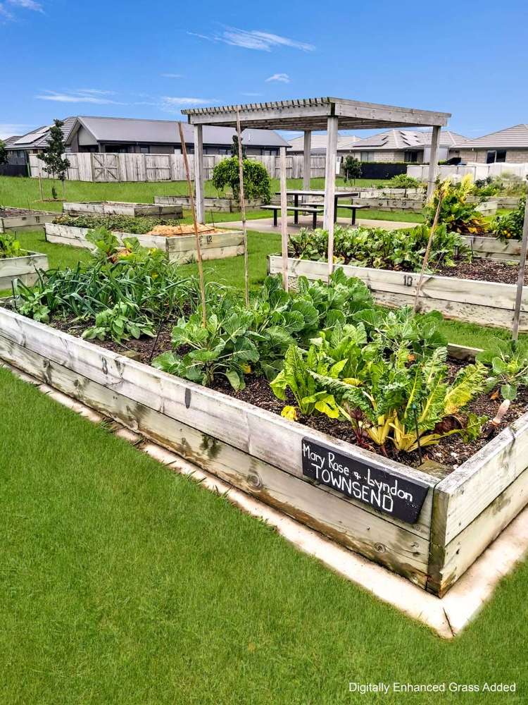 5 Lance Way Papamoa_17