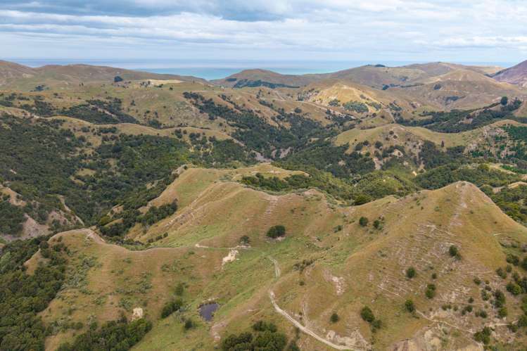 310 Branscombe Road Akitio_14