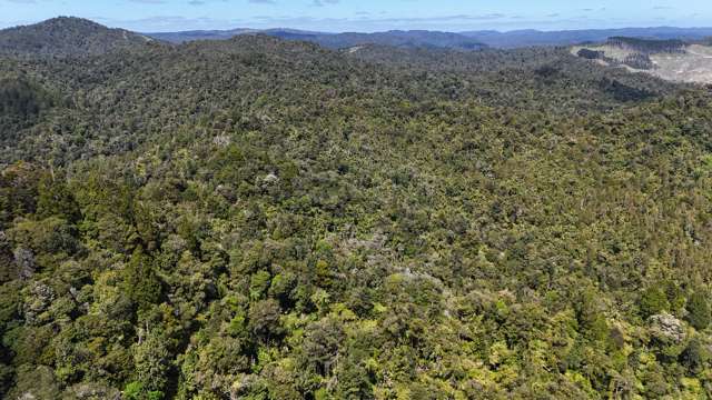 Otangaroa Side Road Kaeo_2