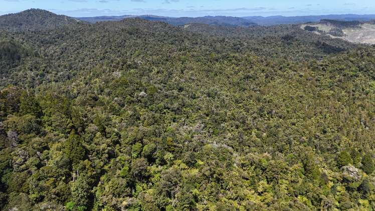 Otangaroa Side Road Kaeo_2