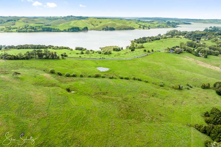 Pahi Road Paparoa_21