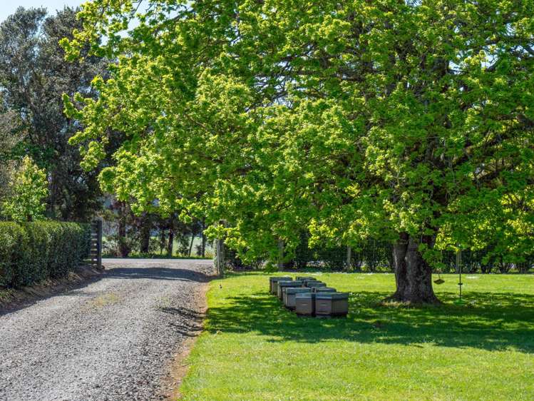 16 Ngapuhi Road Kerikeri_12