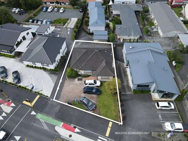 33 Pembroke Street Hamilton Lake_2