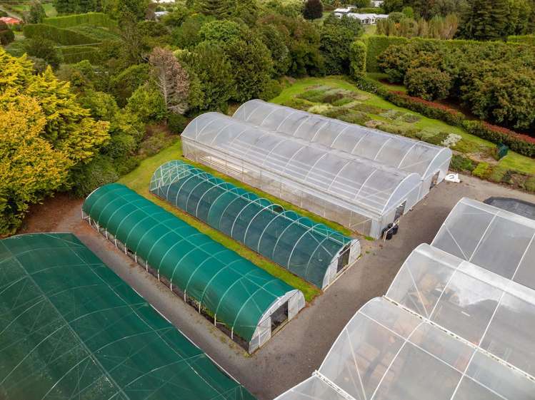 389 Old Highway Whakamarama_25