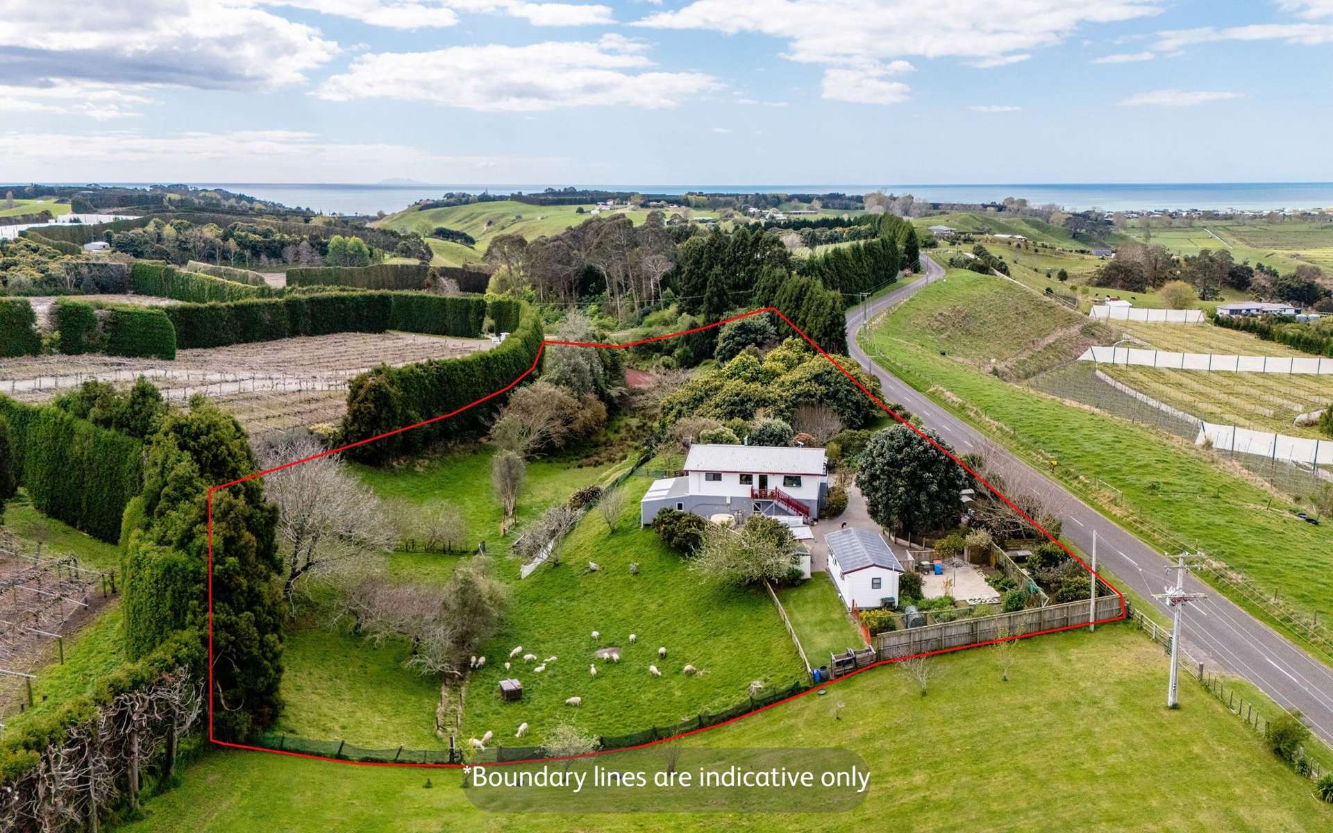 286 Paerata Ridge Road Opotiki_0