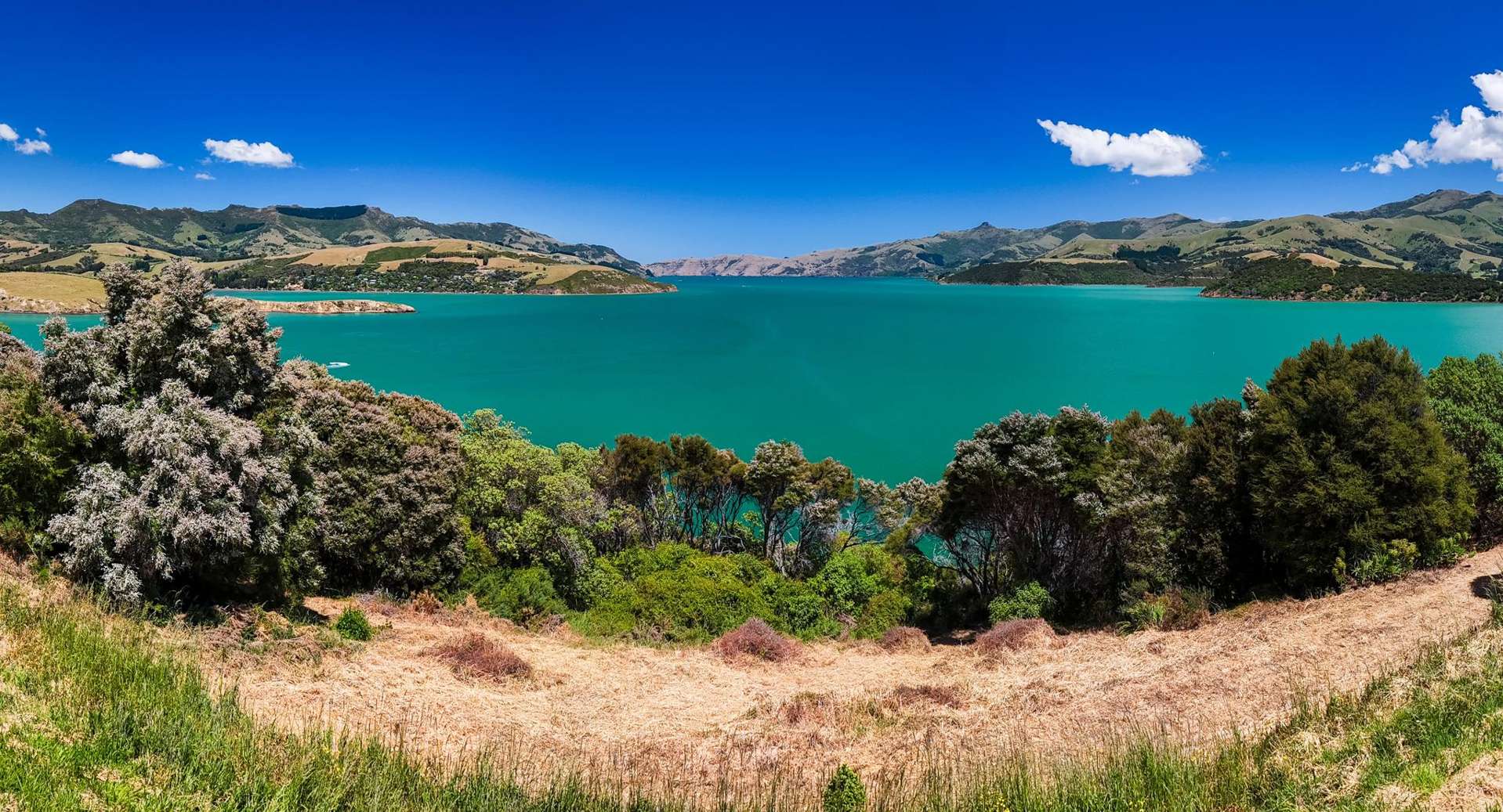 40 Monarch Drive Robinsons Bay_0