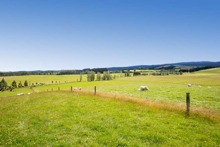 667 Paisley Road Clinton and Surrounds_14