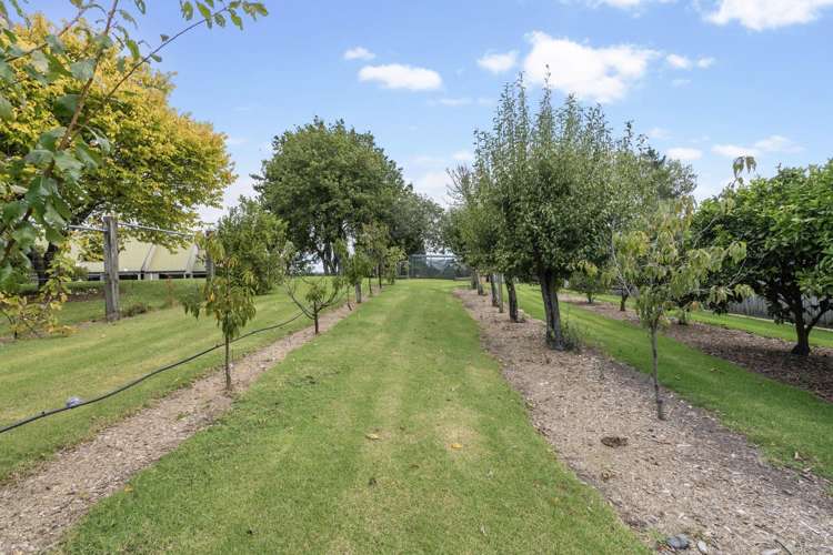 143 Top Road Dairy Flat_15