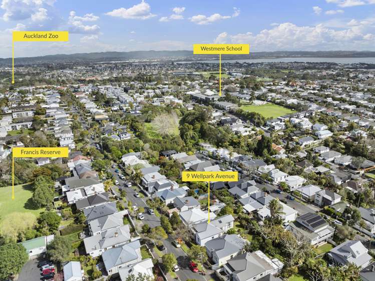 9 Wellpark Avenue Grey Lynn_17
