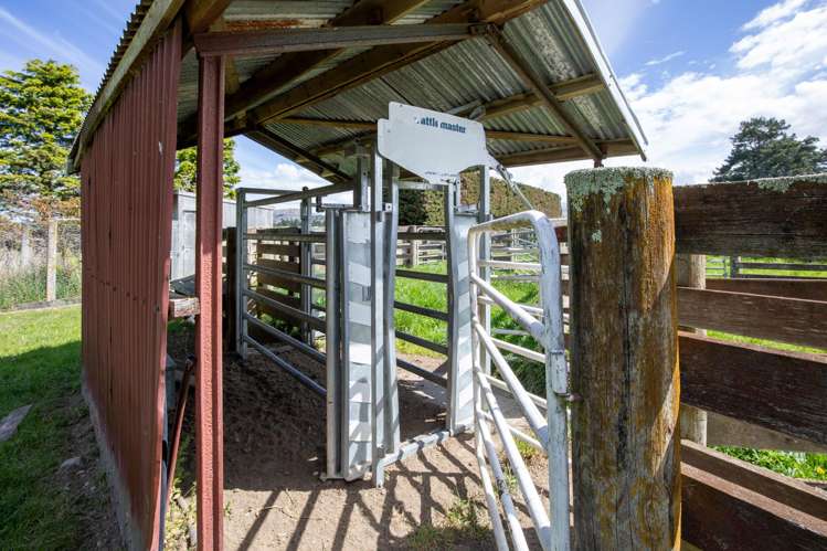 Kowai Road Springfield_12