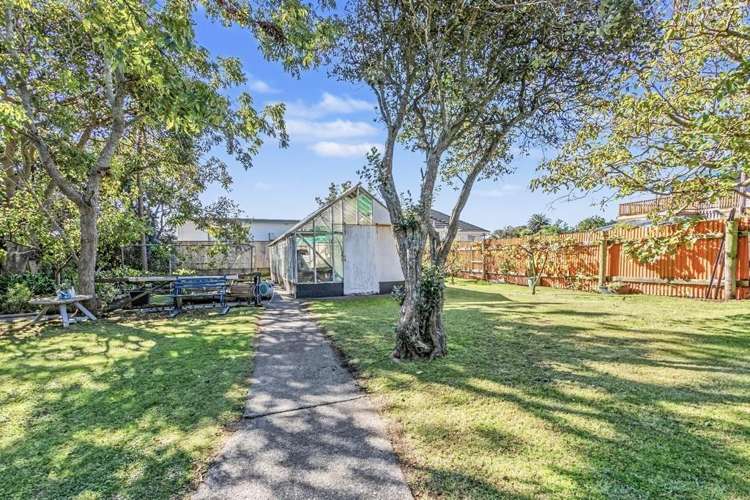 14 Toi Street Tawhero_20