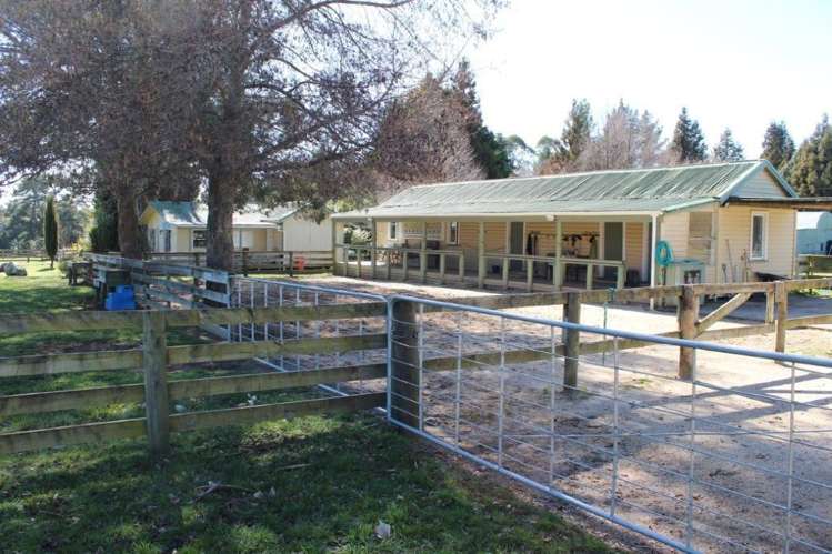 408 Mcvicar Road Te Haroto_11