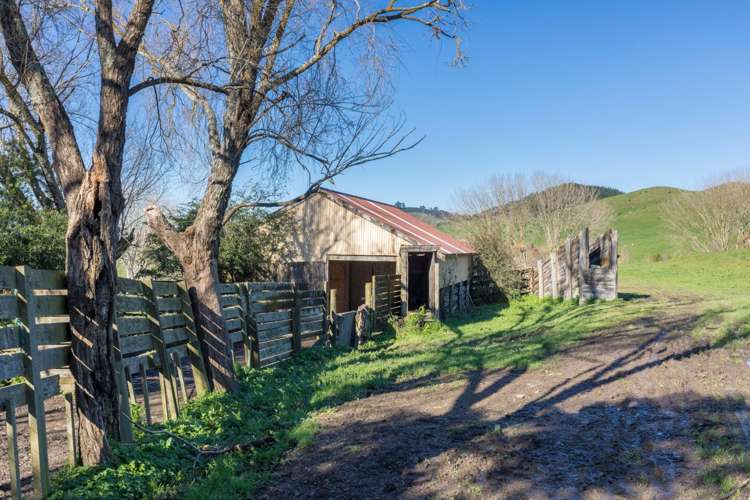 796 Waerenga Road Waerenga_21