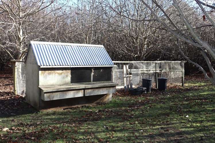 49/53 Special School Road Otekaieke_33