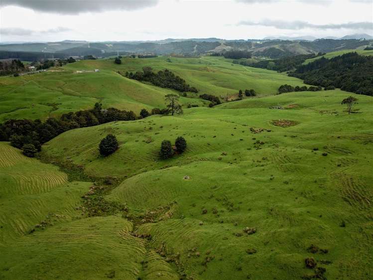 State Highway One Taupo_13