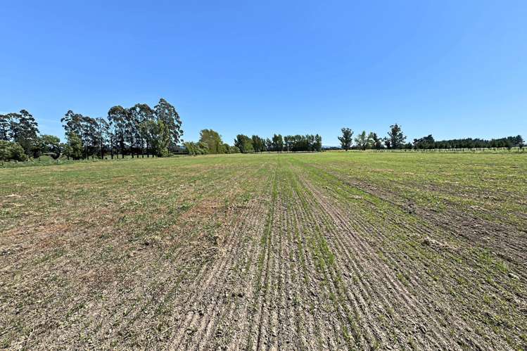 732 Rangiora Leithfield Road Leithfield_12