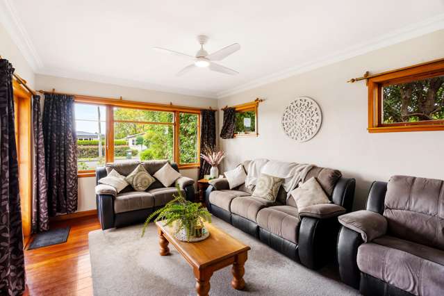 1010 Totara Street Mahora_3