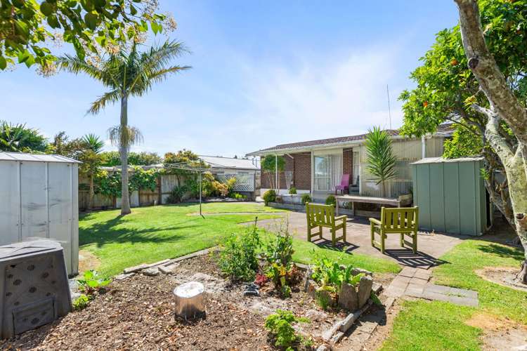 127 Te Hono Street Maungatapu_13