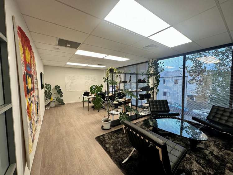 5 Wilkins Street Freemans Bay_3