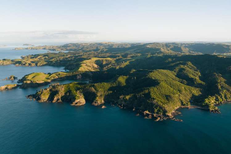 Whangaihe Bay Kaeo_14