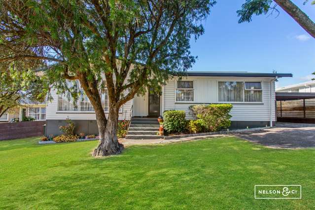 19 Frangipani Avenue Manurewa_1