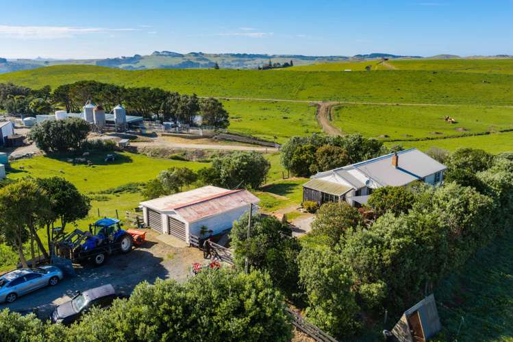 559 Mahuta Road Dargaville_13