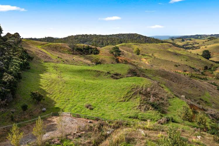 386 Cowan Bay Road Warkworth_0