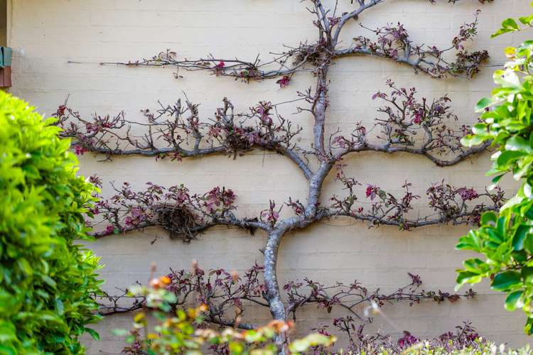 44 Arana Drive, Karaka_38