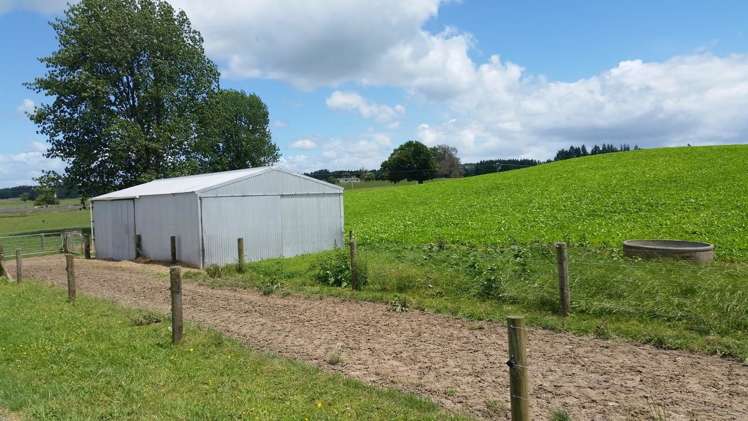 851 Hutchinson Road Morrinsville_7