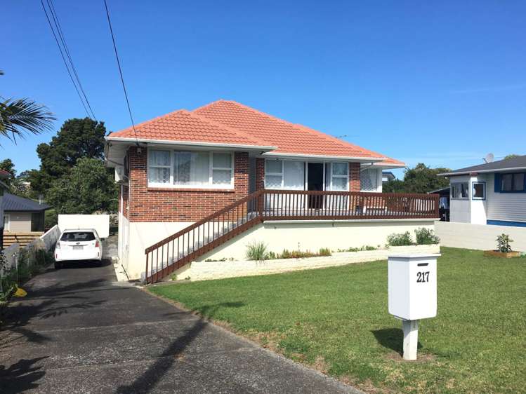 217 Birkdale Road Birkdale_1