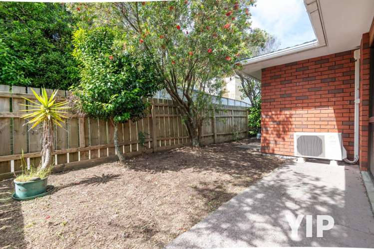 25B Trafalgar Street Johnsonville_14