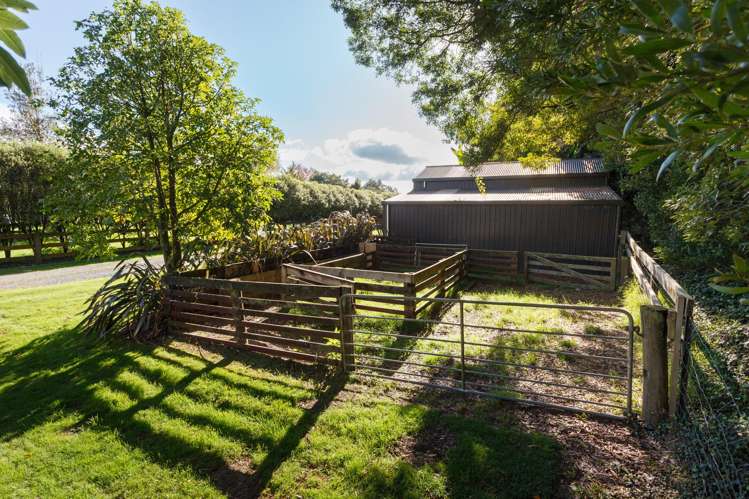 253 Horahora Road Hauraki Surrounds_25