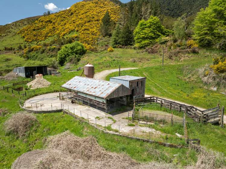 2154 Shenandoah Highway Murchison_17