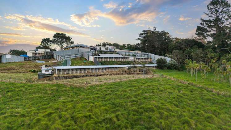 23 Waitakere Road Waitakere_25