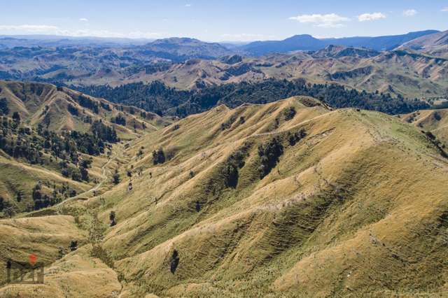 250 Makino Road Rangitikei Surrounds_4