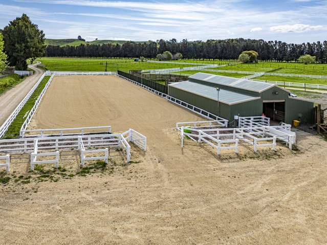 Equestrian haven - 19.7ha lifestyle near Taradale