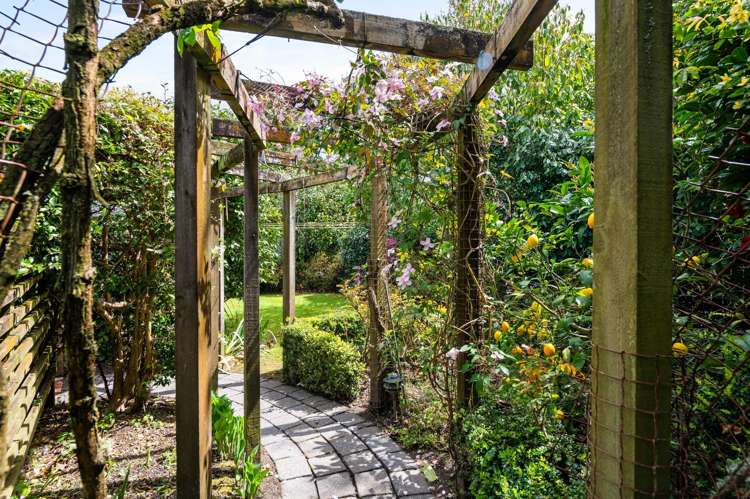 17 Te Aroha Street Hamilton East_23