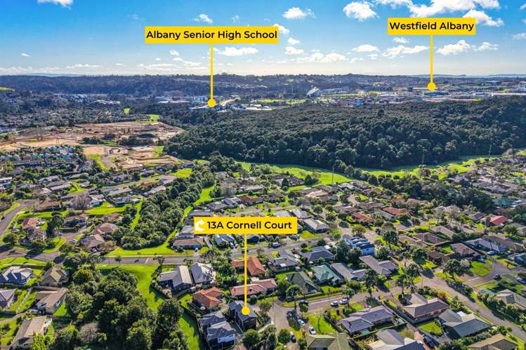 13A Cornell Court Albany_30