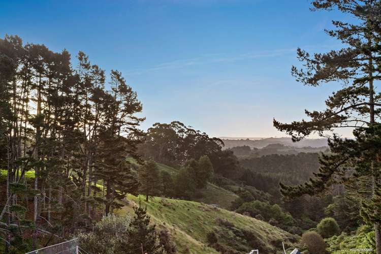 194 Ara-Kotinga Whitford_7