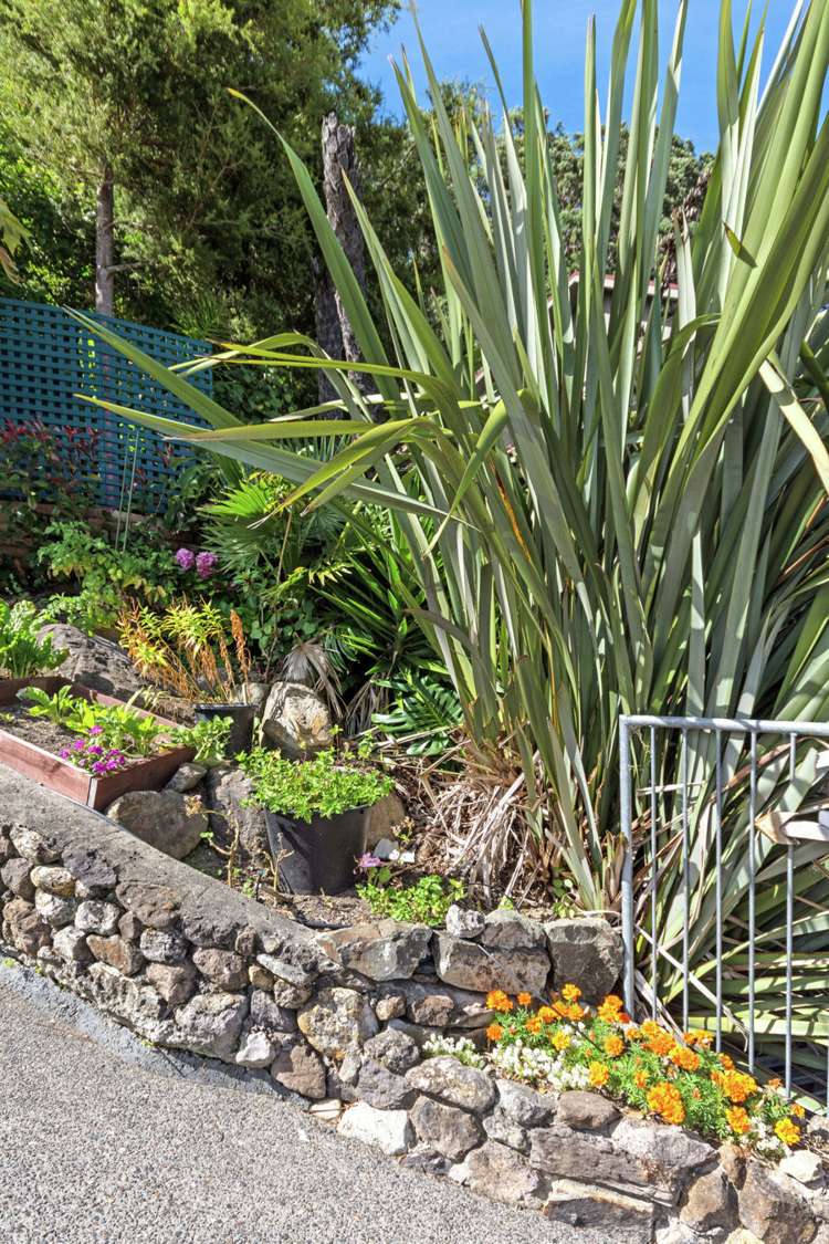 37b Mount Avenue Pauanui_5