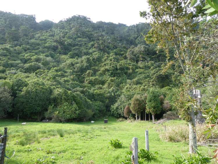 13 Torea Street Granity_10