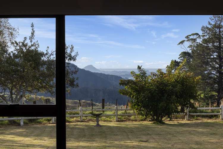 588 Waitao Road Kaimai_7