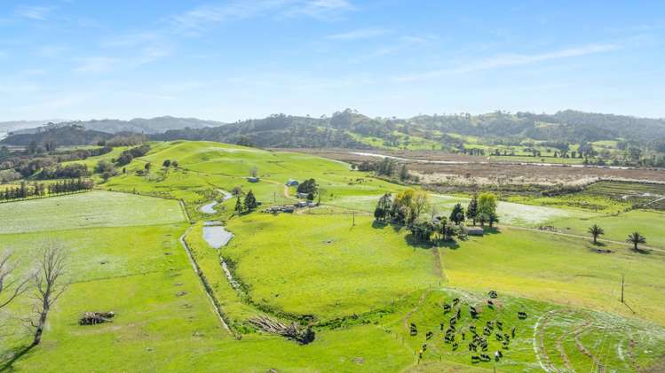 90 Camp Road, Coroglen Tairua_32