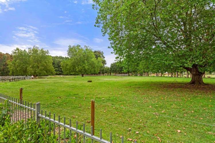 248A Tauwhare Road Tamahere_44