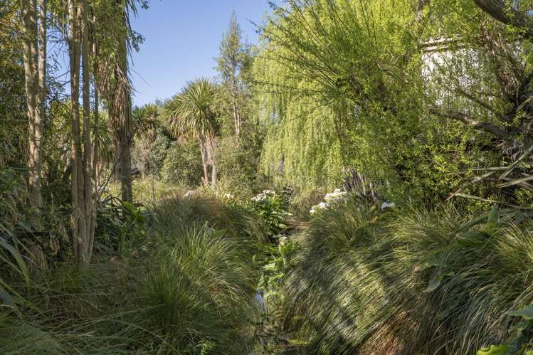 10 Thornton Close Leithfield_23