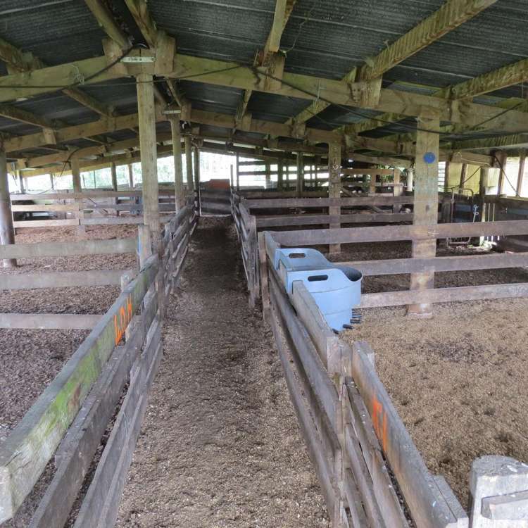 168 Matiere Road Aria_21