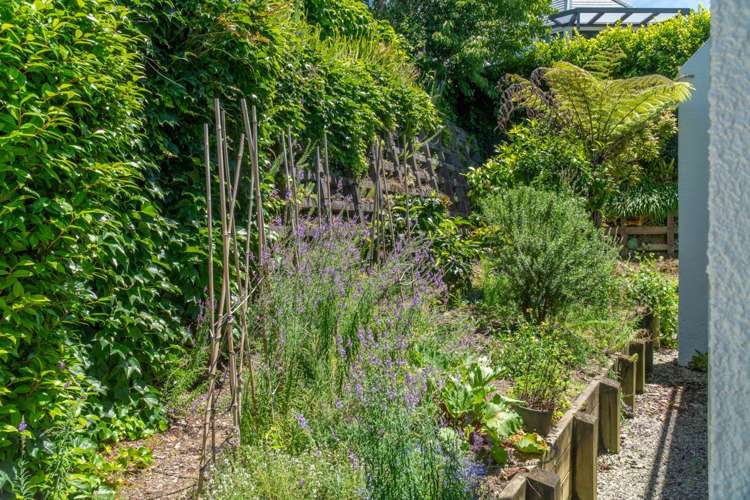 9G Taranaki Road Kohimarama_17