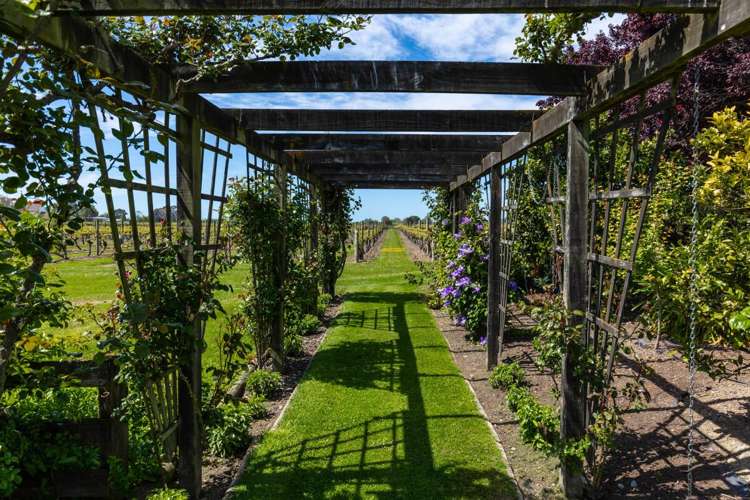 56 Thomsons Ford Road Rapaura_7