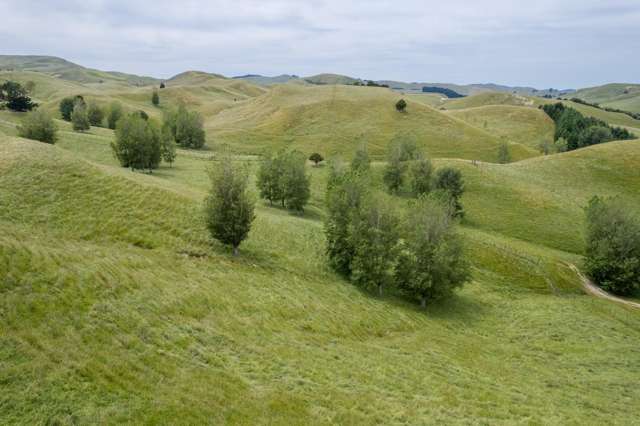 196 Ngapaeruru Road Dannevirke_1